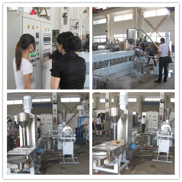 CE Compounding parallel co-rotation twin screw extruder